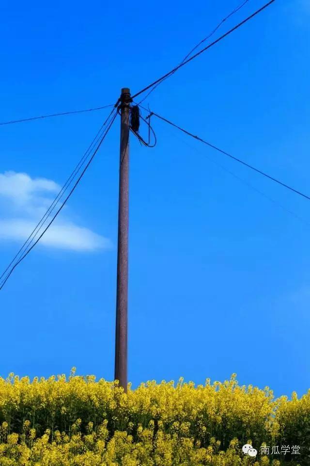 春光明媚里，你的母校有怎样的美景？