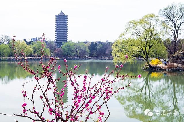 春光明媚里，你的母校有怎样的美景？
