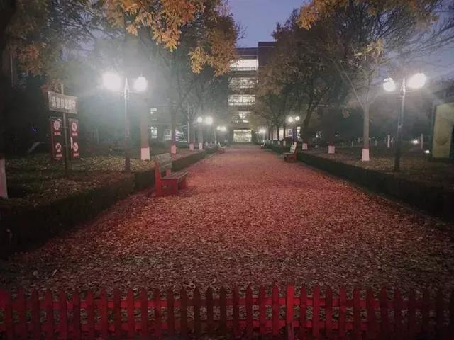 美哭了!太原这8所高校秋日美景,浪漫堪比电影!有你母校吗?