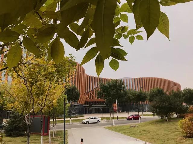 美哭了!太原这8所高校秋日美景,浪漫堪比电影!有你母校吗?