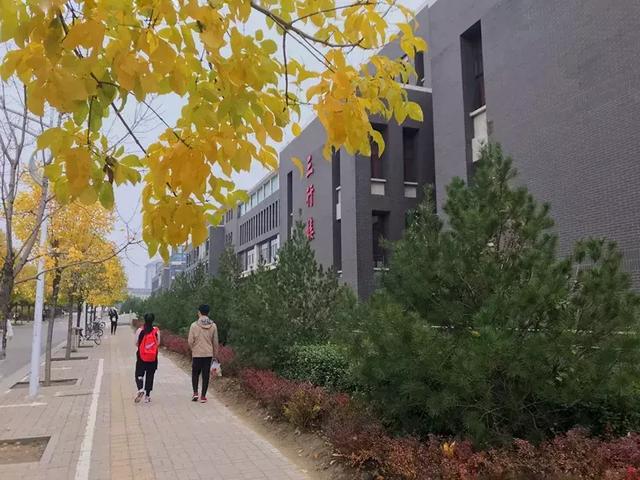 美哭了!太原这8所高校秋日美景,浪漫堪比电影!有你母校吗?