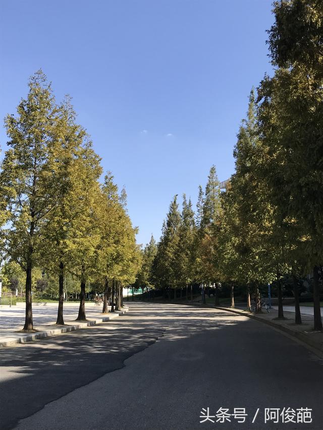 盘点成都的大学美景,来看看有你的母校吗?
