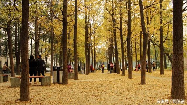 盘点成都的大学美景,来看看有你的母校吗?