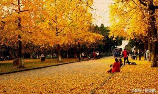 盘点成都的大学美景,来看看有你的母校吗?