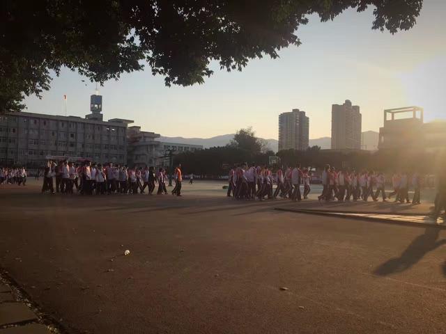 重返母校实习是一种什么样的体验，母校美景故地重游感悟