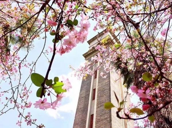“十大风景最美的大学”,有你的母校吗?