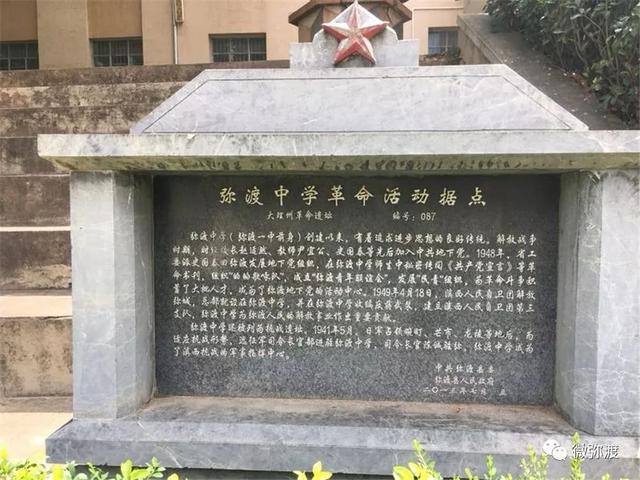 「美景」你的母校紫薇花开了，快回去看看吧