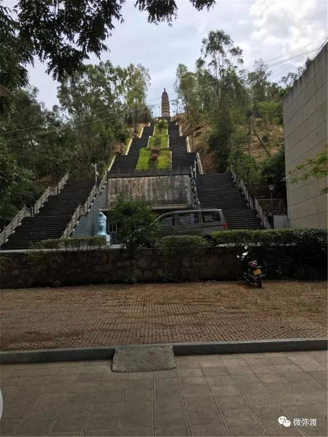 「美景」你的母校紫薇花开了，快回去看看吧