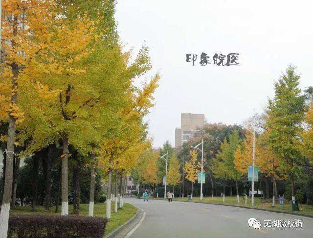 美哭！芜湖六所高校秋日美景大PK，快为你母校打CALL！