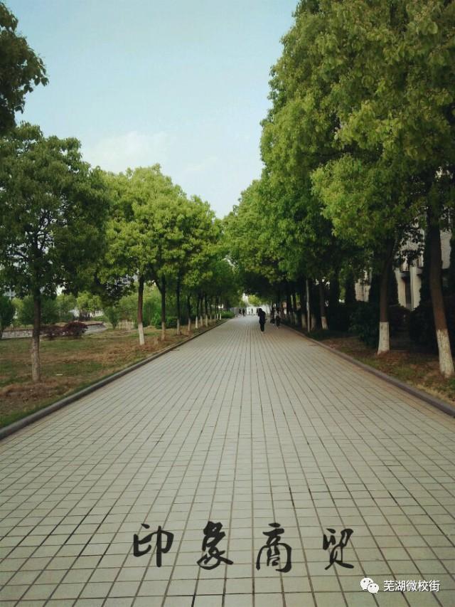 美哭！芜湖六所高校秋日美景大PK，快为你母校打CALL！