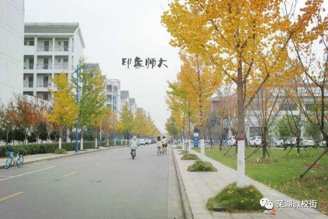 美哭！芜湖六所高校秋日美景大PK，快为你母校打CALL！