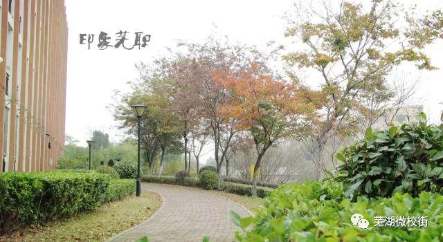 美哭！芜湖六所高校秋日美景大PK，快为你母校打CALL！