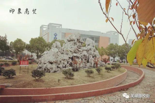 美哭！芜湖六所高校秋日美景大PK，快为你母校打CALL！