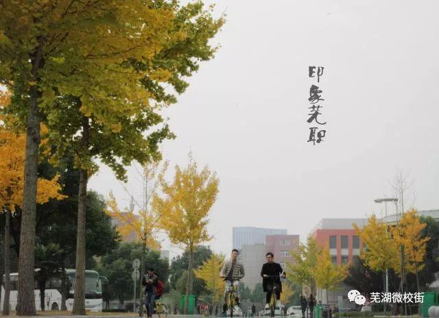美哭！芜湖六所高校秋日美景大PK，快为你母校打CALL！