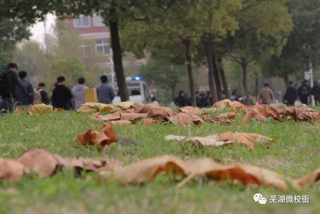 美哭！芜湖六所高校秋日美景大PK，快为你母校打CALL！