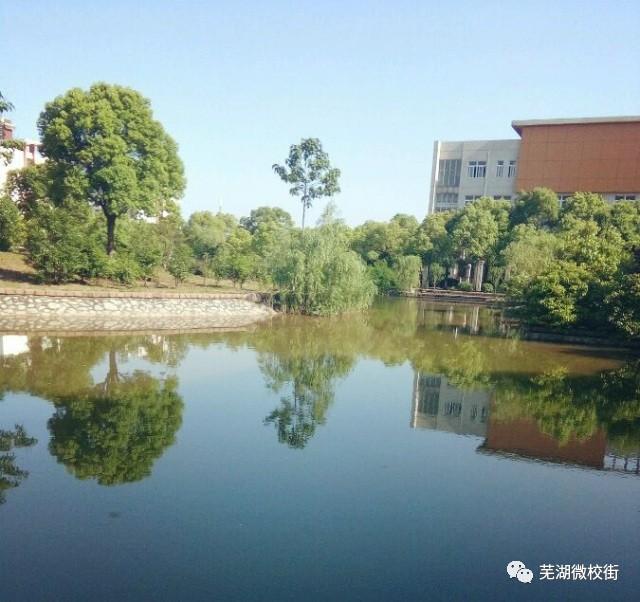 美哭！芜湖六所高校秋日美景大PK，快为你母校打CALL！