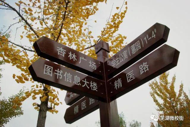 美哭！芜湖六所高校秋日美景大PK，快为你母校打CALL！