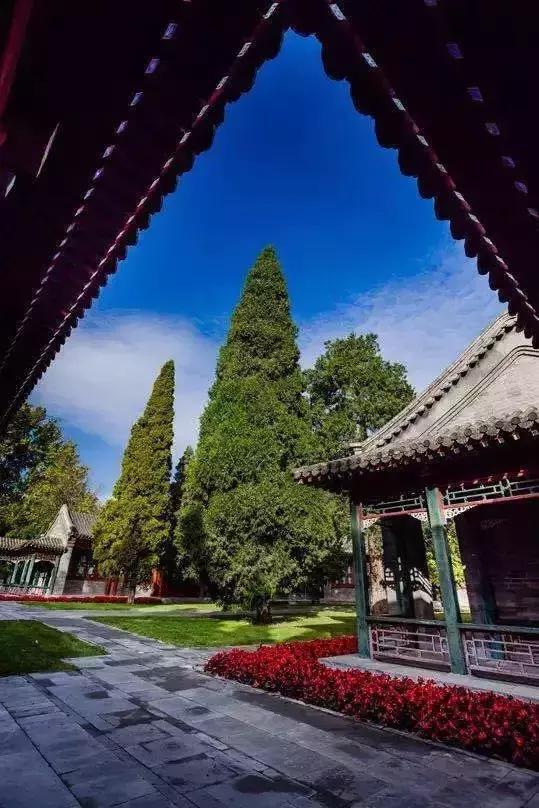 醉美的景色,藏在海淀的校园里,快来找找你的母校?