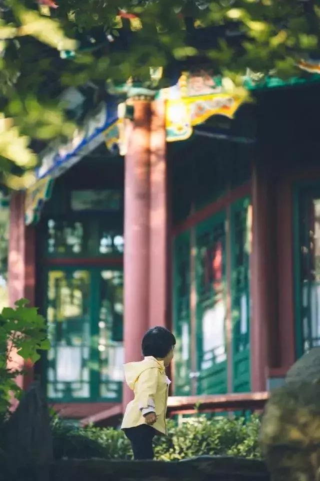 醉美的景色,藏在海淀的校园里,快来找找你的母校?