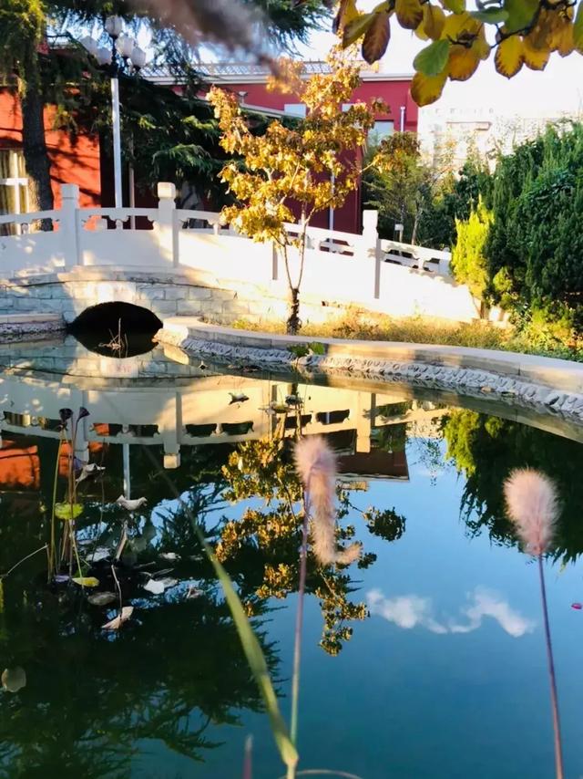 醉美的景色,藏在海淀的校园里,快来找找你的母校?