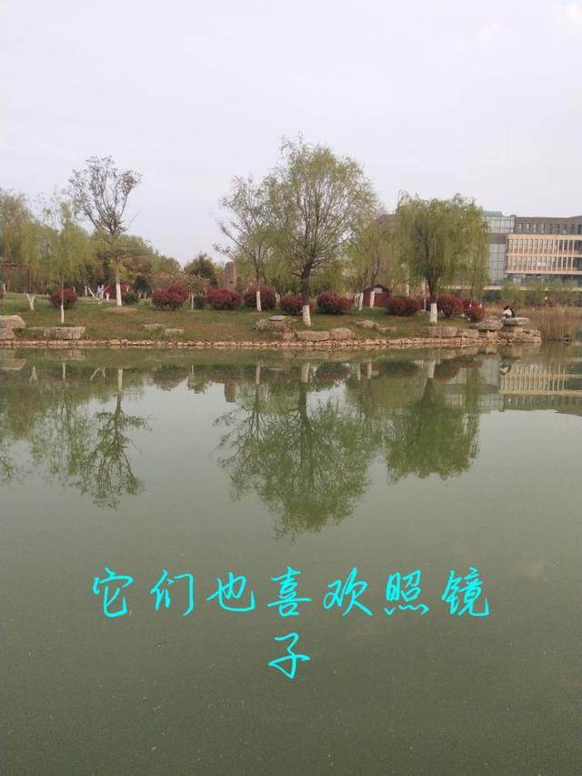 暑假过了好长时间了，你开始想回学校了吗？想念校园景色