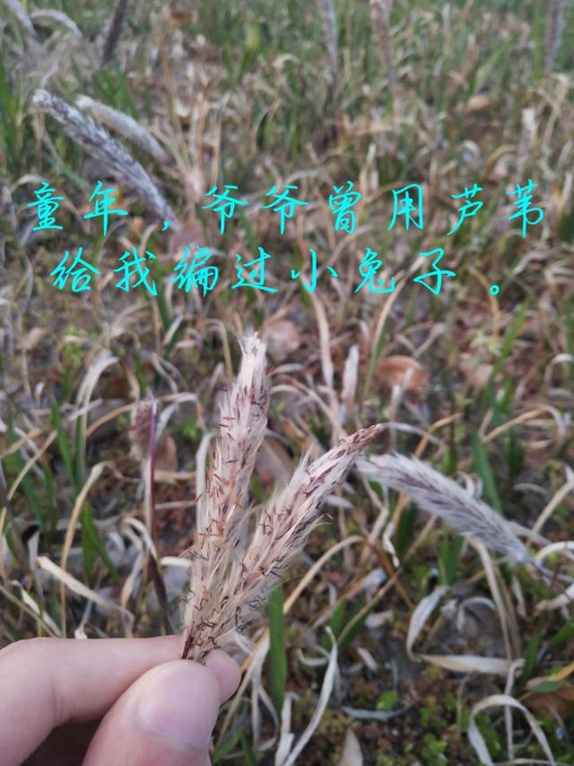 暑假过了好长时间了，你开始想回学校了吗？想念校园景色