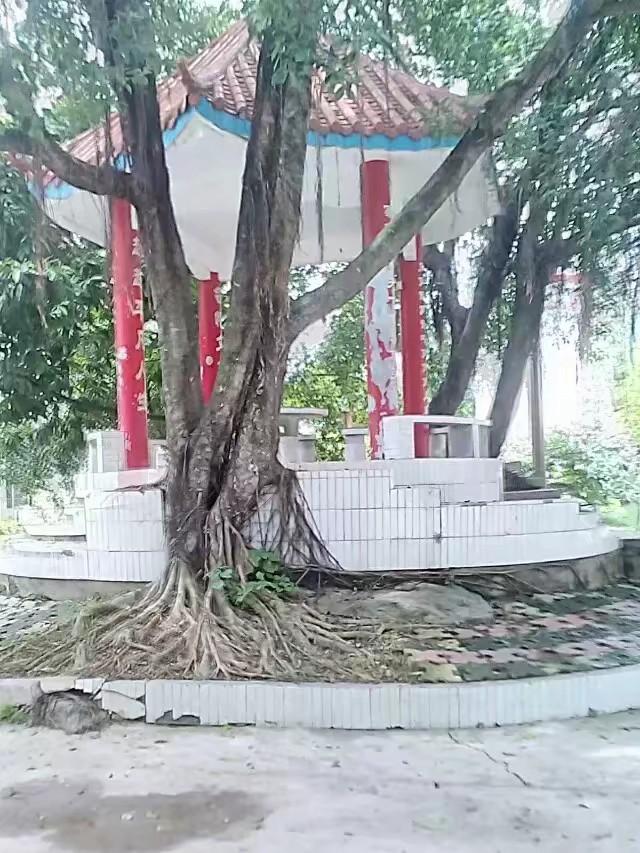 母校新貌，景色优雅！