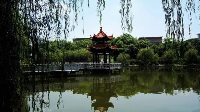 还记得你学校里校园湖的风光吗？盘点湖南十大高校校园湖风景，看看有没有你的母校！