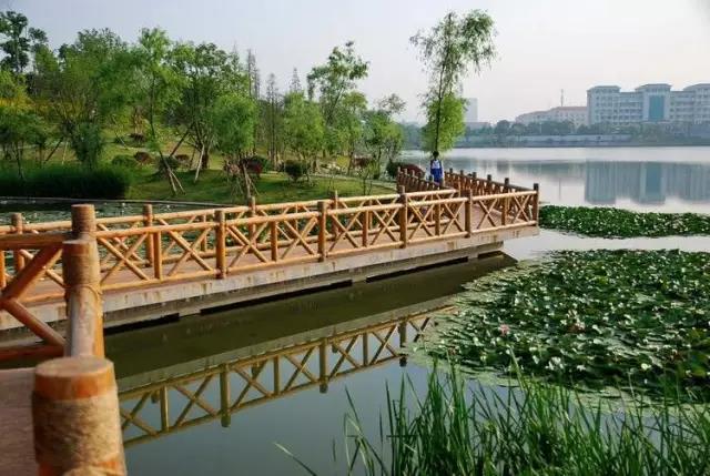 还记得你学校里校园湖的风光吗？盘点湖南十大高校校园湖风景，看看有没有你的母校！