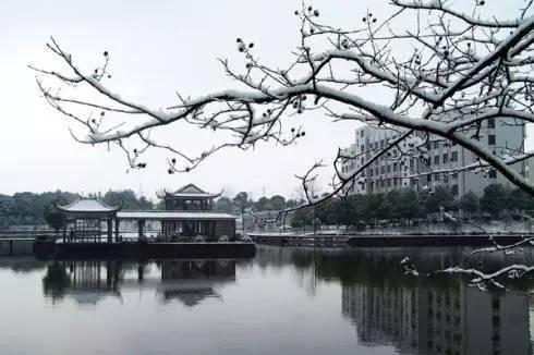 还记得你学校里校园湖的风光吗？盘点湖南十大高校校园湖风景，看看有没有你的母校！